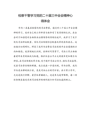 检察干警学习党的二十届三中全会精神心得体会范文.docx