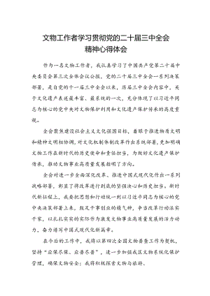 文物工作者学习贯彻党的二十届三中全会精神心得体会.docx