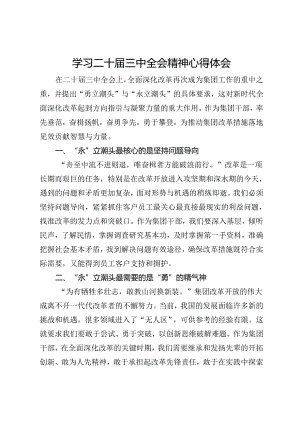 某公司干部学习二十届三中全会精神心得体会.docx