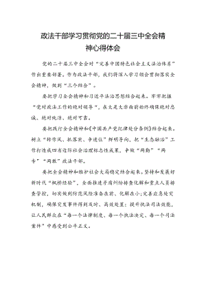 政法干部学习贯彻党的二十届三中全会精神心得体会范文.docx