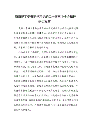 街道纪工委书记学习党的二十届三中全会精神研讨发言范文.docx