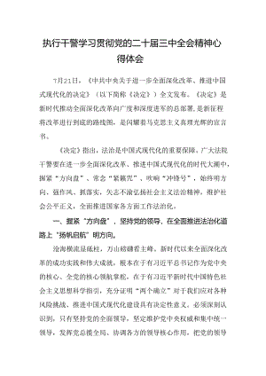 执行干警学习贯彻党的二十届三中全会精神心得体会.docx