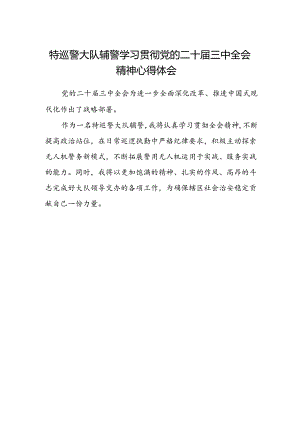 特巡警大队辅警学习贯彻党的二十届三中全会精神心得体会.docx