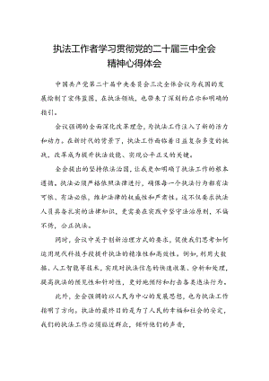 执法工作者学习贯彻党的二十届三中全会精神心得体会.docx