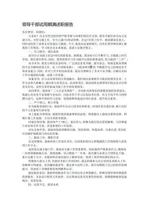 领导干部试用期满述职报告.docx