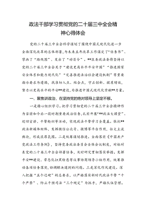政法干部学习贯彻党的二十届三中全会精神心得体会.docx