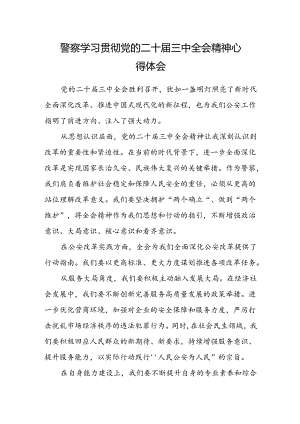 警察学习贯彻党的二十届三中全会精神心得体会.docx