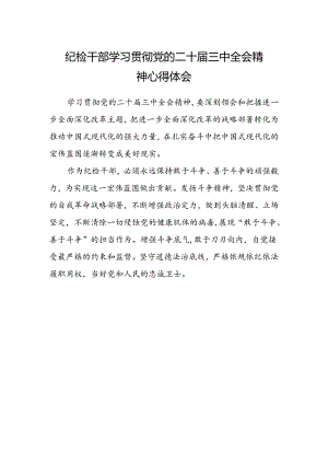 纪检干部学习贯彻党的二十届三中全会精神心得体会 .docx