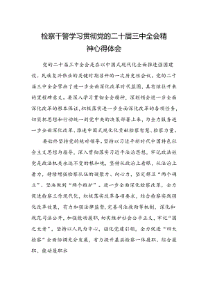 检察干警学习贯彻党的二十届三中全会精神心得体会模板.docx