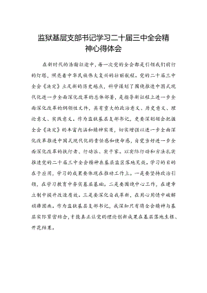 监狱基层支部书记学习二十届三中全会精神心得体会.docx