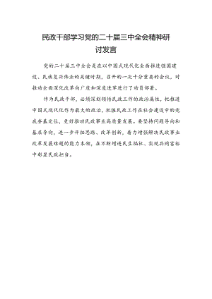 民政干部学习党的二十届三中全会精神研讨发言.docx