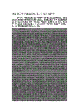 镇党委关于干部选拔任用工作情况的报告.docx