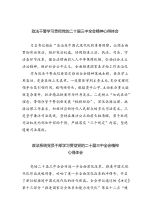 政法干警学习贯彻党的二十届三中全会精神心得体会样本8篇（精选版）.docx