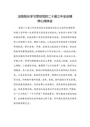 法院院长学习贯彻党的二十届三中全会精神心得体会.docx