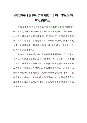 法院青年干警学习贯彻党的二十届三中全会精神心得体会范文.docx