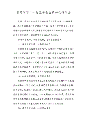 教师学习党的二十届三中全会精神心得体会发言材料.docx
