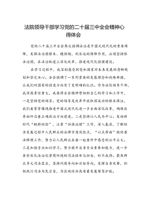法院领导干部学习党的二十届三中全会精神心得体会.docx