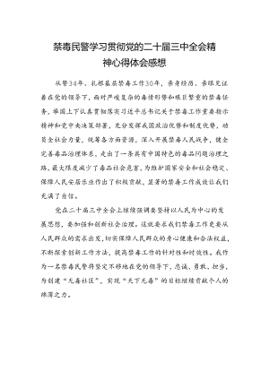 禁毒民警学习贯彻党的二十届三中全会精神心得体会感想.docx