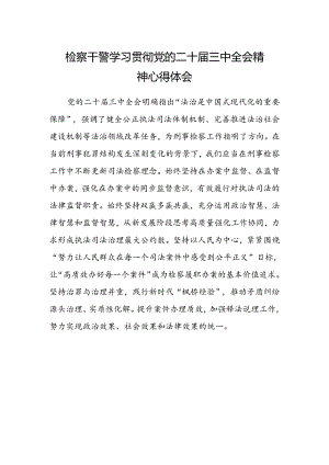 检察干警学习贯彻党的二十届三中全会精神心得体会范本.docx