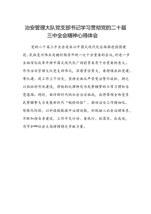治安管理大队党支部书记学习贯彻党的二十届三中全会精神心得体会.docx