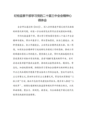 纪检监察干部学习党的二十届三中全会精神心得体会.docx