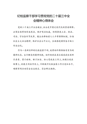 纪检监察干部学习贯彻党的二十届三中全会精神心得体会.docx