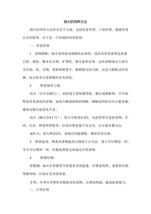 细犬的饲养方法.docx