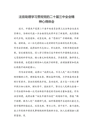法官助理学习贯彻党的二十届三中全会精神心得体会.docx