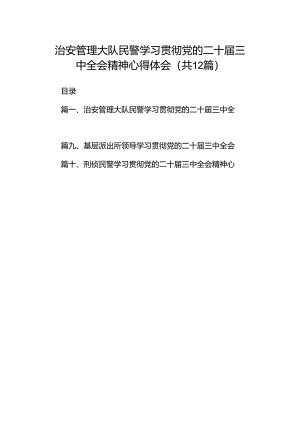 治安管理大队民警学习贯彻党的二十届三中全会精神心得体会（共12篇）.docx