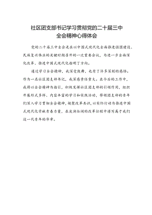 社区团支部书记学习贯彻党的二十届三中全会精神心得体会.docx