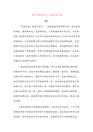 青年干部培训学习心得体会三篇.docx