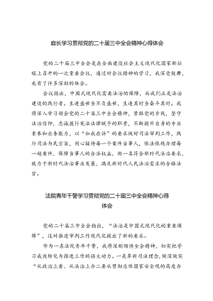 庭长学习贯彻党的二十届三中全会精神心得体会（共五篇）.docx