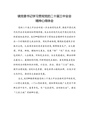 镇党委书记学习贯彻党的二十届三中全会精神心得体会范文.docx