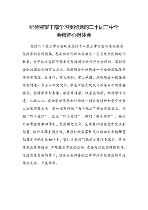纪检监察干部学习贯彻党的二十届三中全会精神心得体会 .docx