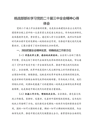 统战部部长学习党的二十届三中全会精神心得体会.docx