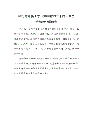 银行青年员工学习贯彻党的二十届三中全会精神心得体会 .docx