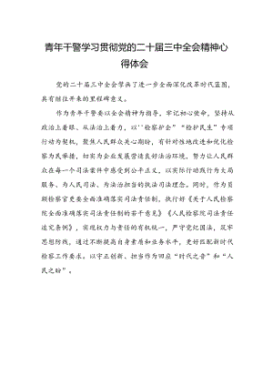 青年干警学习贯彻党的二十届三中全会精神心得体会.docx
