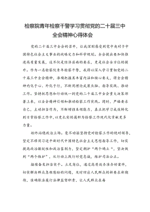 检察院青年检察干警学习贯彻党的二十届三中全会精神心得体会.docx