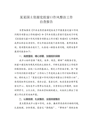 某某国土资源党组窗口作风整治工作自查报告.docx