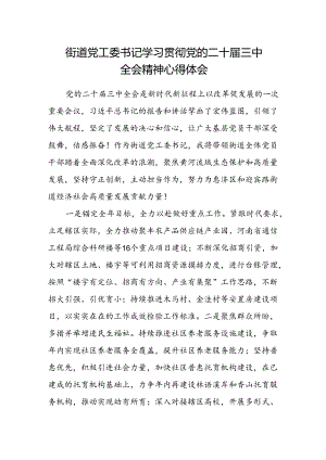 街道党工委书记学习贯彻党的二十届三中全会精神心得体会范文.docx