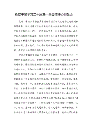 检察干警学习二十届三中全会精神心得体会模板.docx