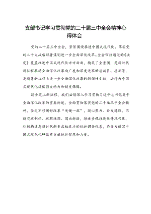支部书记学习贯彻党的二十届三中全会精神心得体会.docx