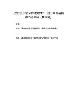 法庭庭长学习贯彻党的二十届三中全会精神心得体会12篇供参考.docx