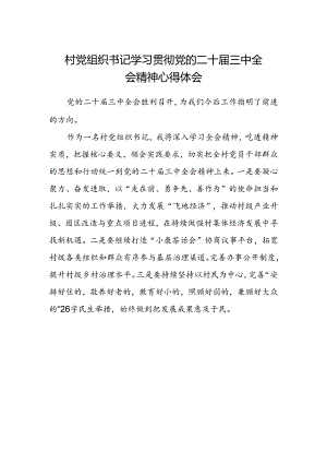 村党组织书记学习贯彻党的二十届三中全会精神心得体会.docx