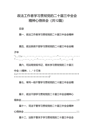 政法工作者学习贯彻党的二十届三中全会精神心得体会12篇（精选）.docx
