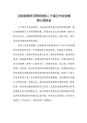 法官助理学习贯彻党的二十届三中全会精神心得体会范文 .docx