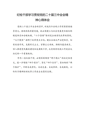 纪检干部学习贯彻党的二十届三中全会精神心得体会 .docx
