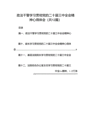 政法干警学习贯彻党的二十届三中全会精神心得体会（合计12份）.docx