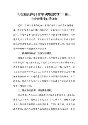 纪检监察系统干部学习贯彻党的二十届三中全会精神心得体会.docx