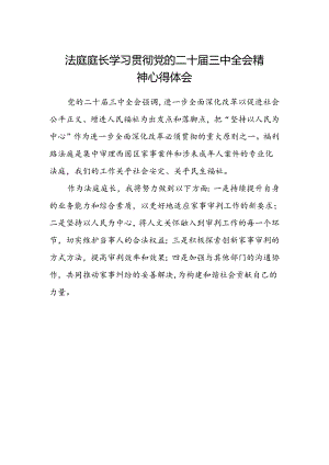 法庭庭长学习贯彻党的二十届三中全会精神心得体会 .docx